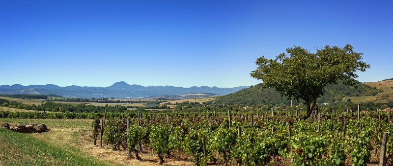 Vue du Haut lieu tectonique Chaîne des Puys - faille de Limagne depuis la plaine, près de Montmorin ©Anthony ith